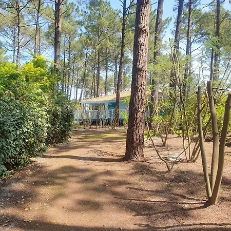 La Jenny Village Naturiste - Chalet 4/6 Personnes Chalet Le Porge